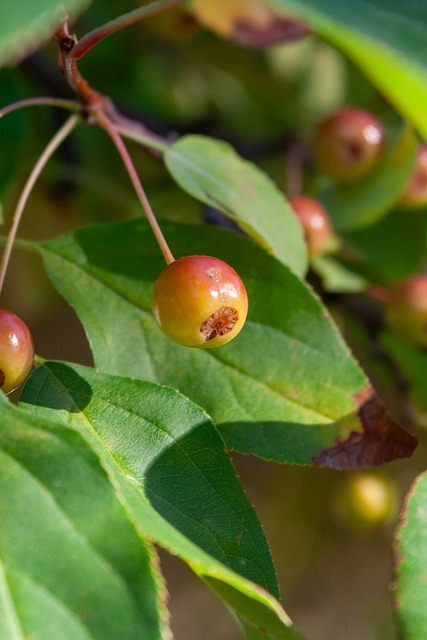 比德这样一 比德这样一