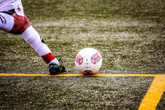 再到体育与 再到体育与