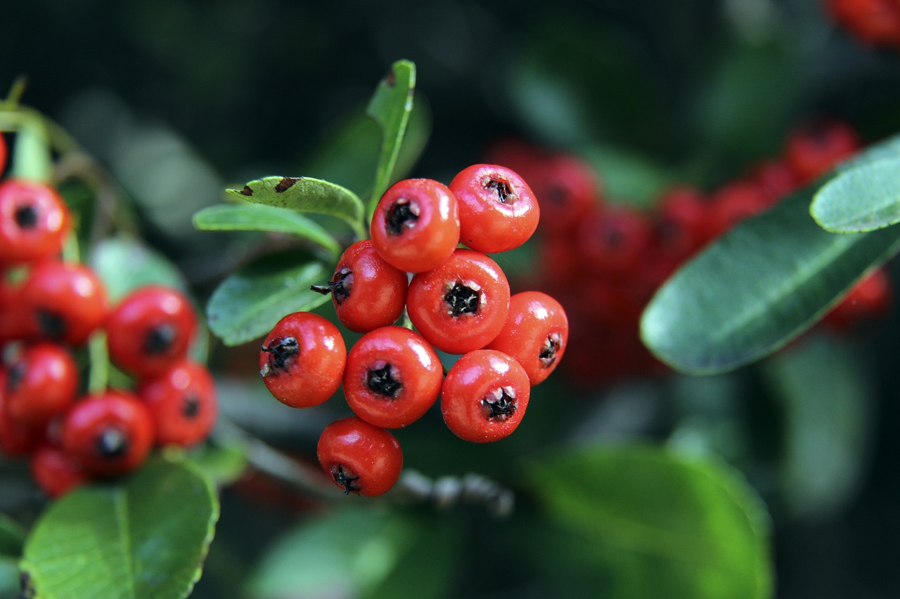 记录为代表 记录为代表