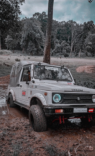 詹妮是一位 詹妮是一位