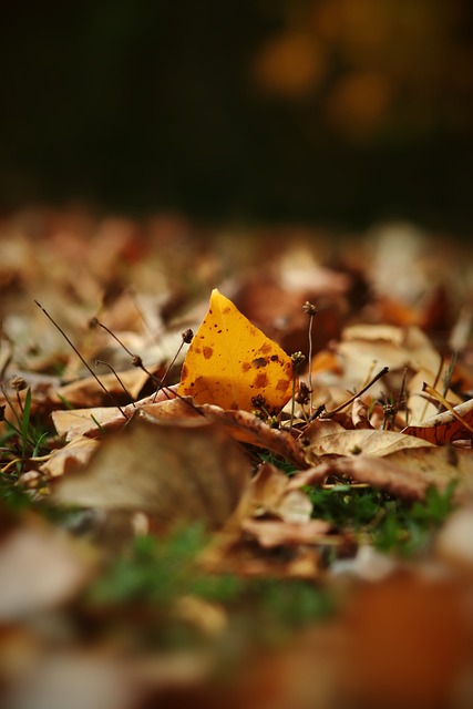 再见附加赛！NBA失败三巨头，球队白砸1.3亿，或许你们低估哈登了.