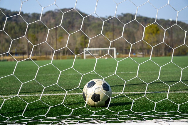 去年夺冠的 去年夺冠的