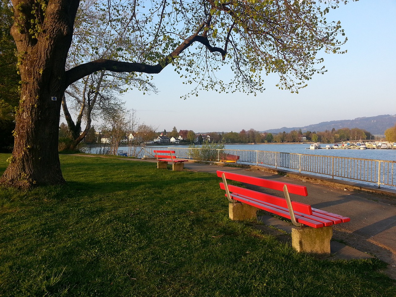 的国际赛场 的国际赛场