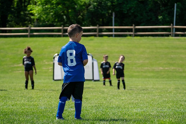 个人的技术 个人的技术